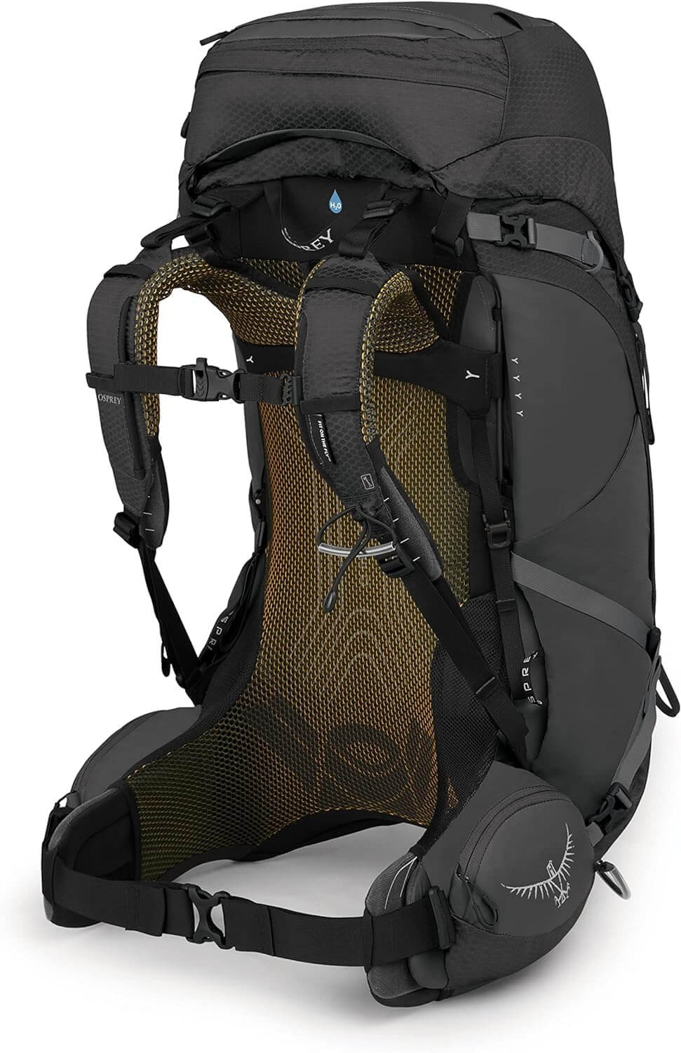 Osprey Atmos AG 50 Herren - Outdoor Shop FluxPerfect