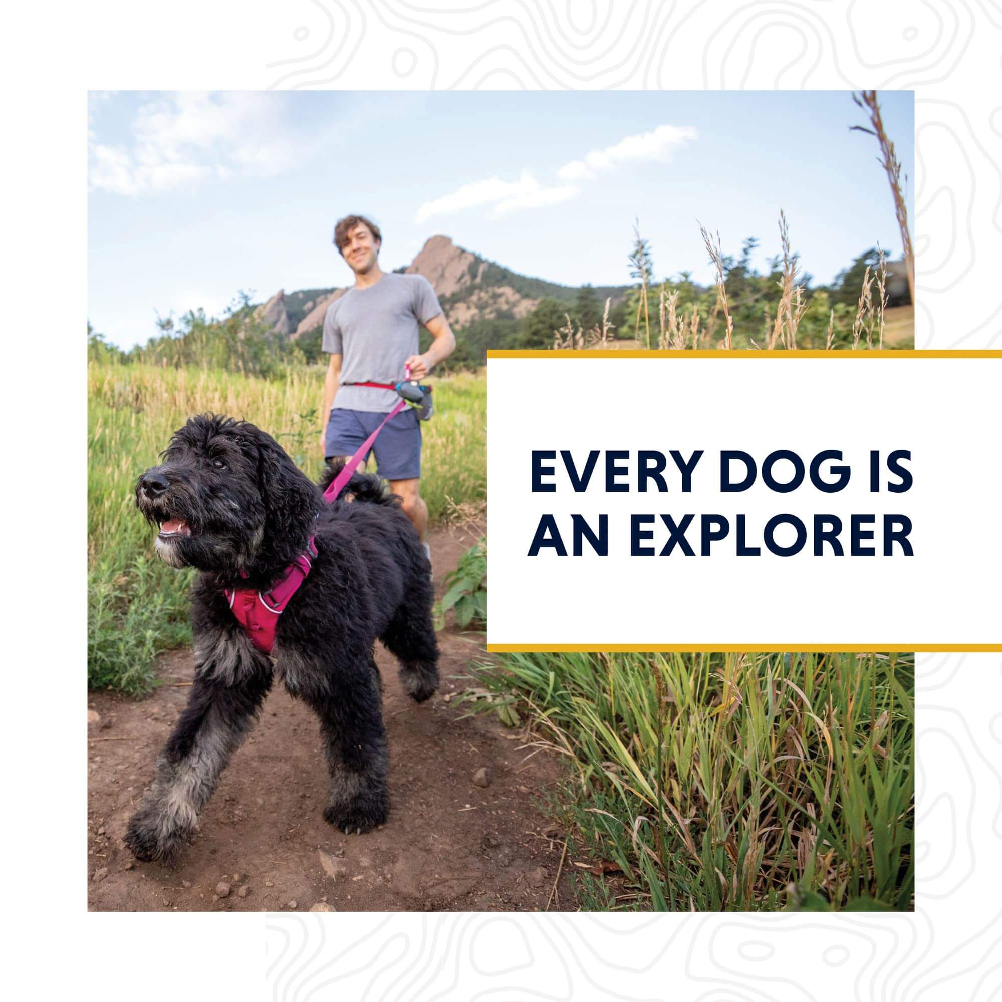 Hundeleine – Ruffwear – Knot-a-Leash