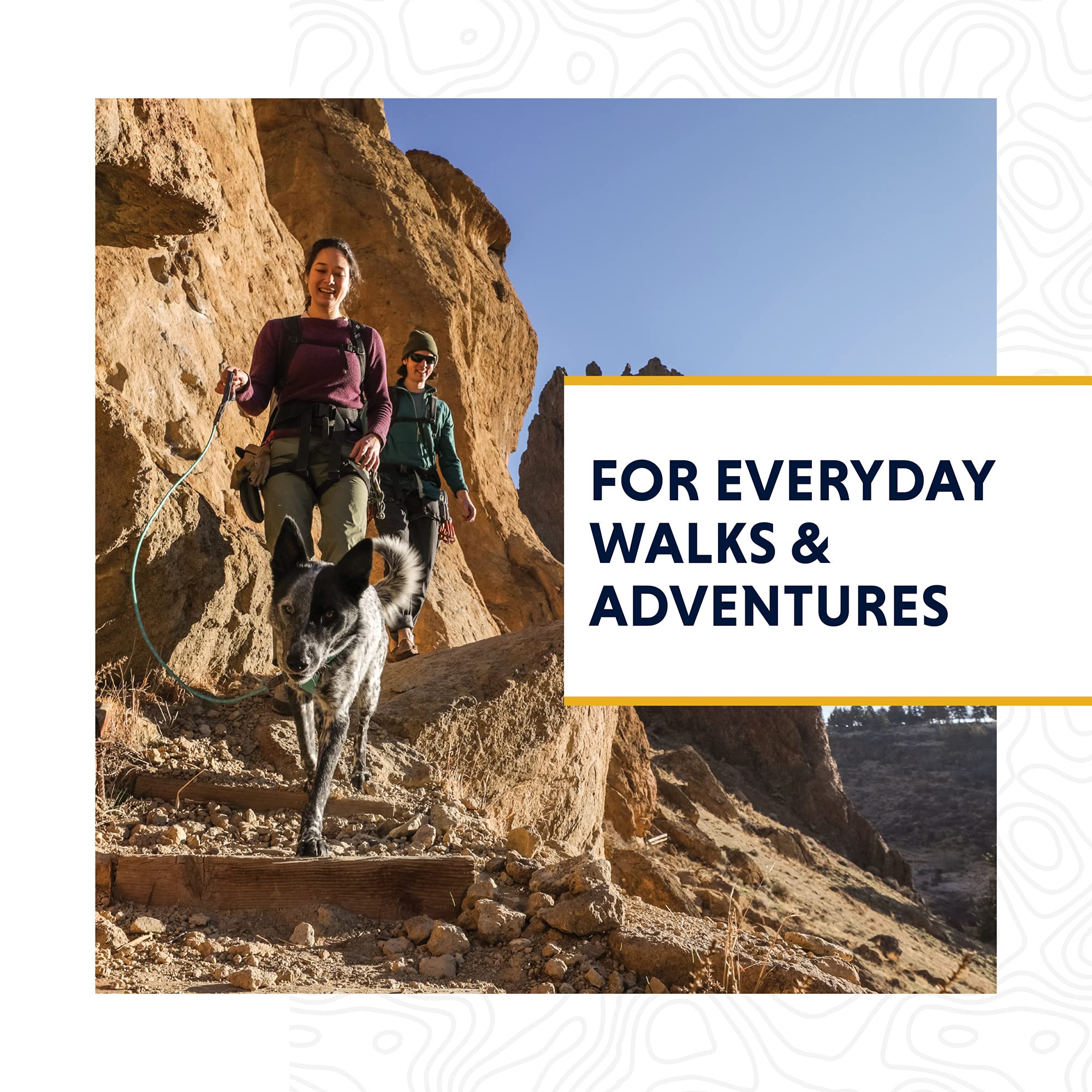 56bb73dd-d147-432a-a388-4d9bc0ddb1c7