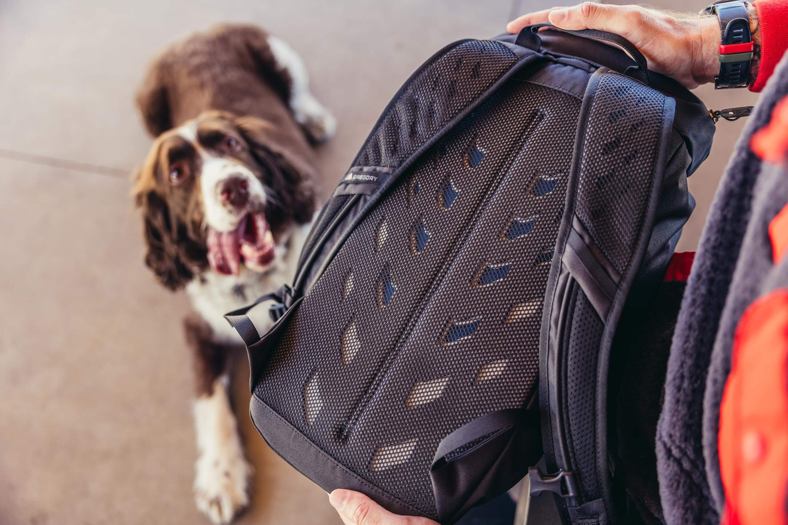 3a71d393-3459-4b9d-a6f6-37b61e91973e