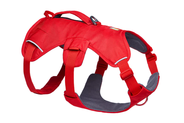 Hundegeschirr – Ruffwear – Web Master