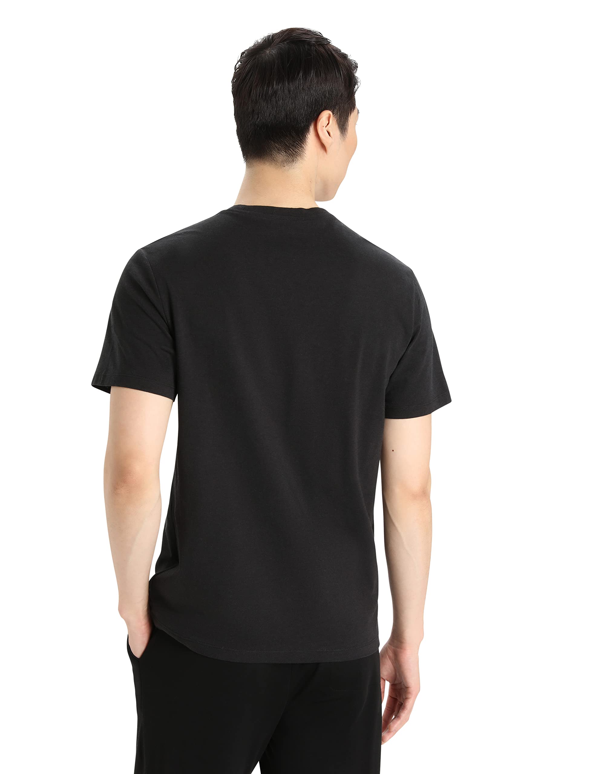 Merino T-Shirt Herren – Icebreaker – Central Classic