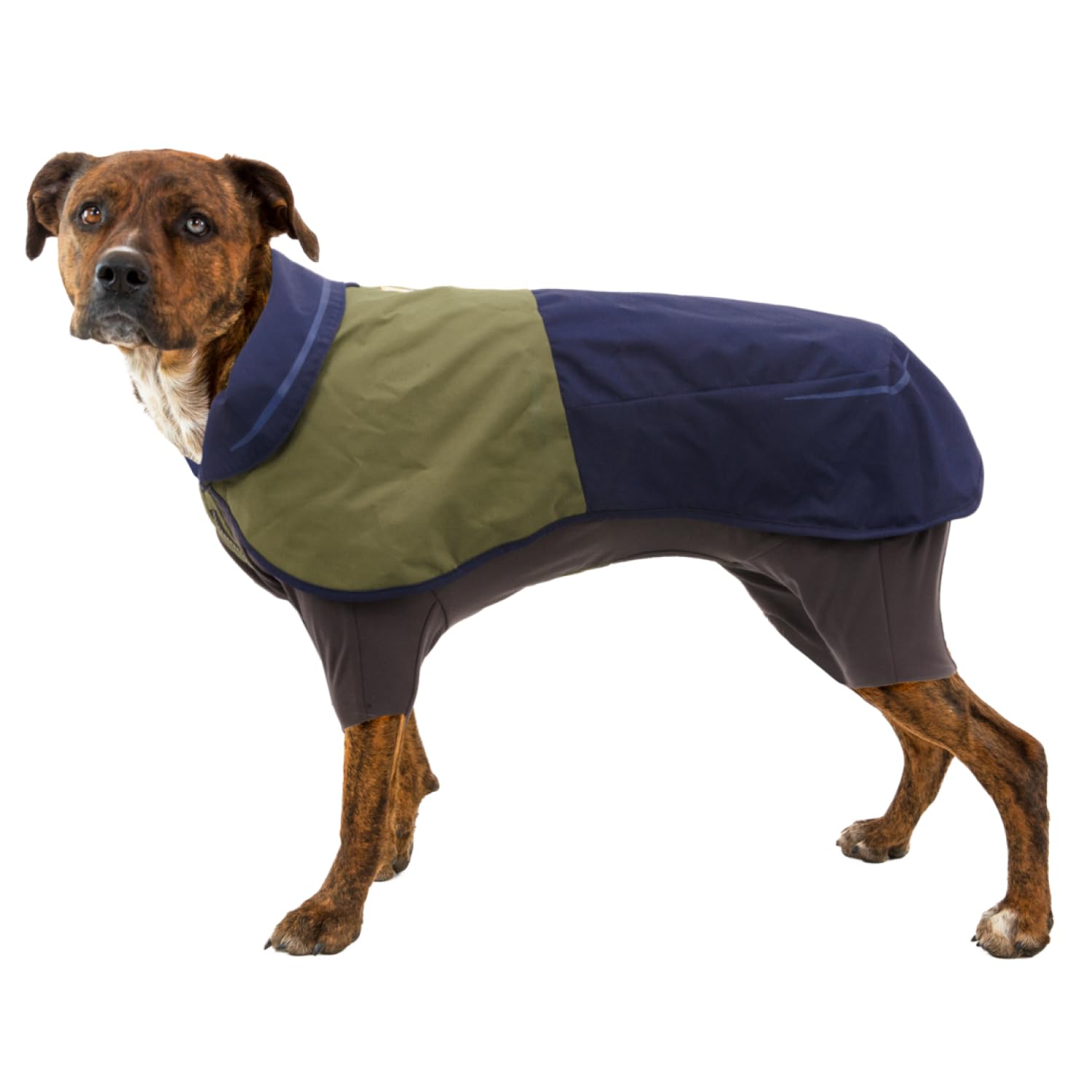 Hundemantel – Ruffwear – Sun Shower Overall – RUFFWEAR – Bild 9