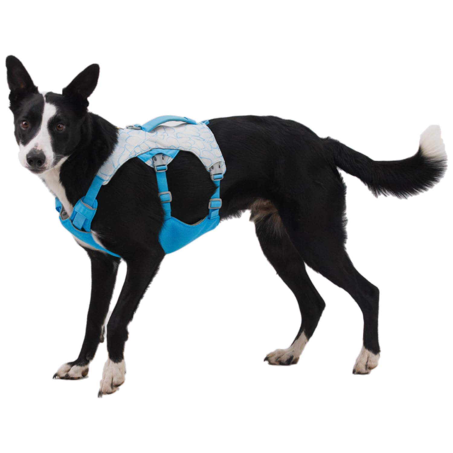 Hundegeschirr – Ruffwear – Swamp Cooler – RUFFWEAR – Bild 5