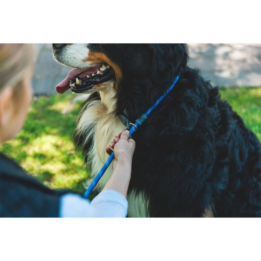 Hundeleine – Ruffwear – Just-a-Cinch