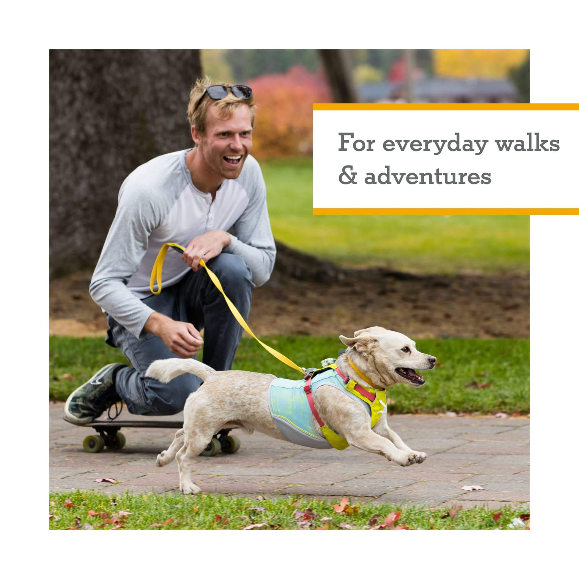 Ruffwear Hi & Light Hundegeschirr