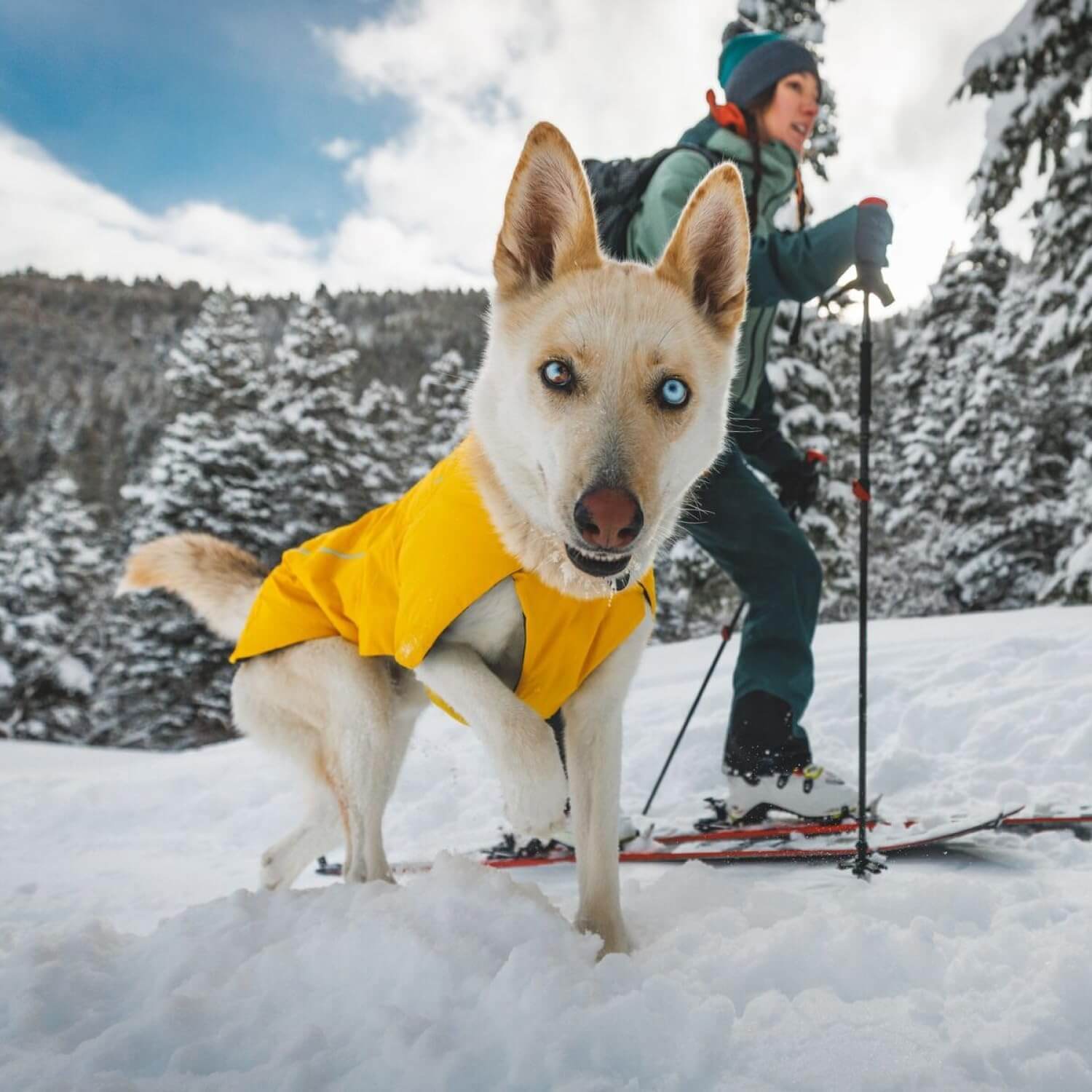 Hundejacke – Ruffwear – Vert Jacket – Ruffwear – Bild 7