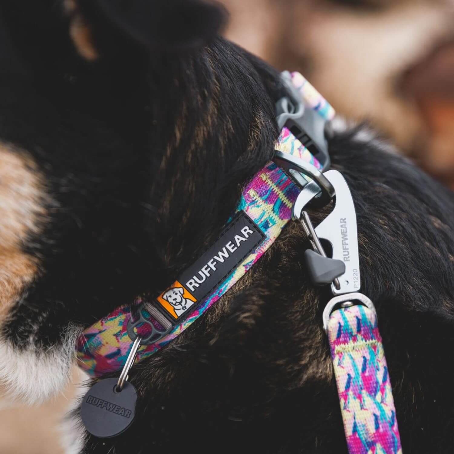Ruffwear Front Range Hundehalsband für kleine Hunde, mit V-Ring aus Aluminium, bequem und stark, mit seitlicher Schnalle und Gurtband, für Spaziergänge mit dem Hund