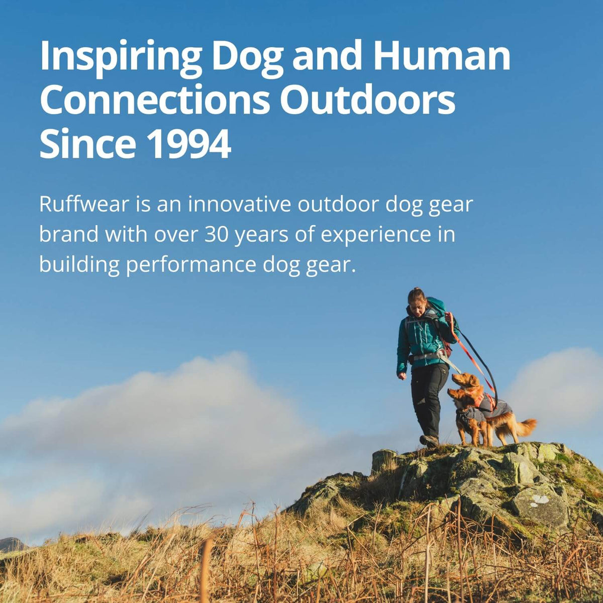 Hundeleine – Ruffwear – Front Range – RUFFWEAR – Bild 5
