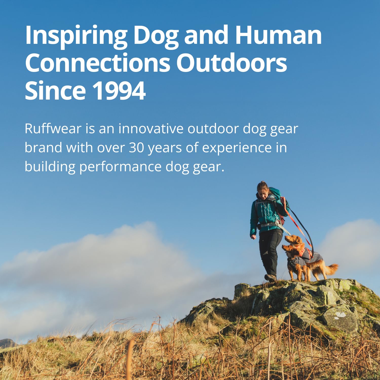 Hundeleine – Ruffwear – Ridgeline – RUFFWEAR – Bild 6