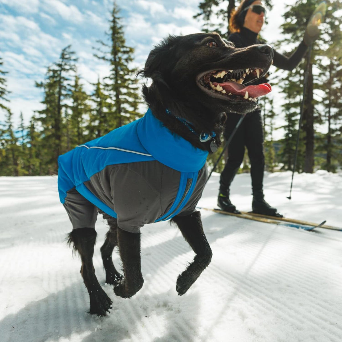 Hundeoverall – Ruffwear – Vert Overall