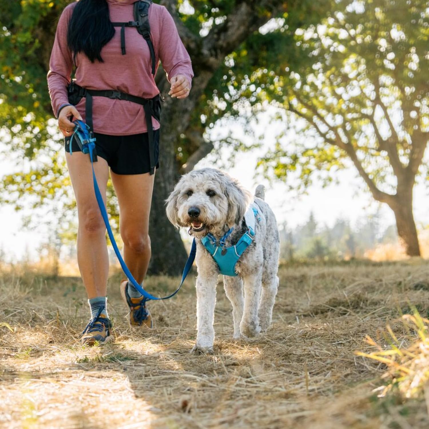 Hundegeschirr – RUFFWEAR – Swamp Cooler – RUFFWEAR – Bild 5
