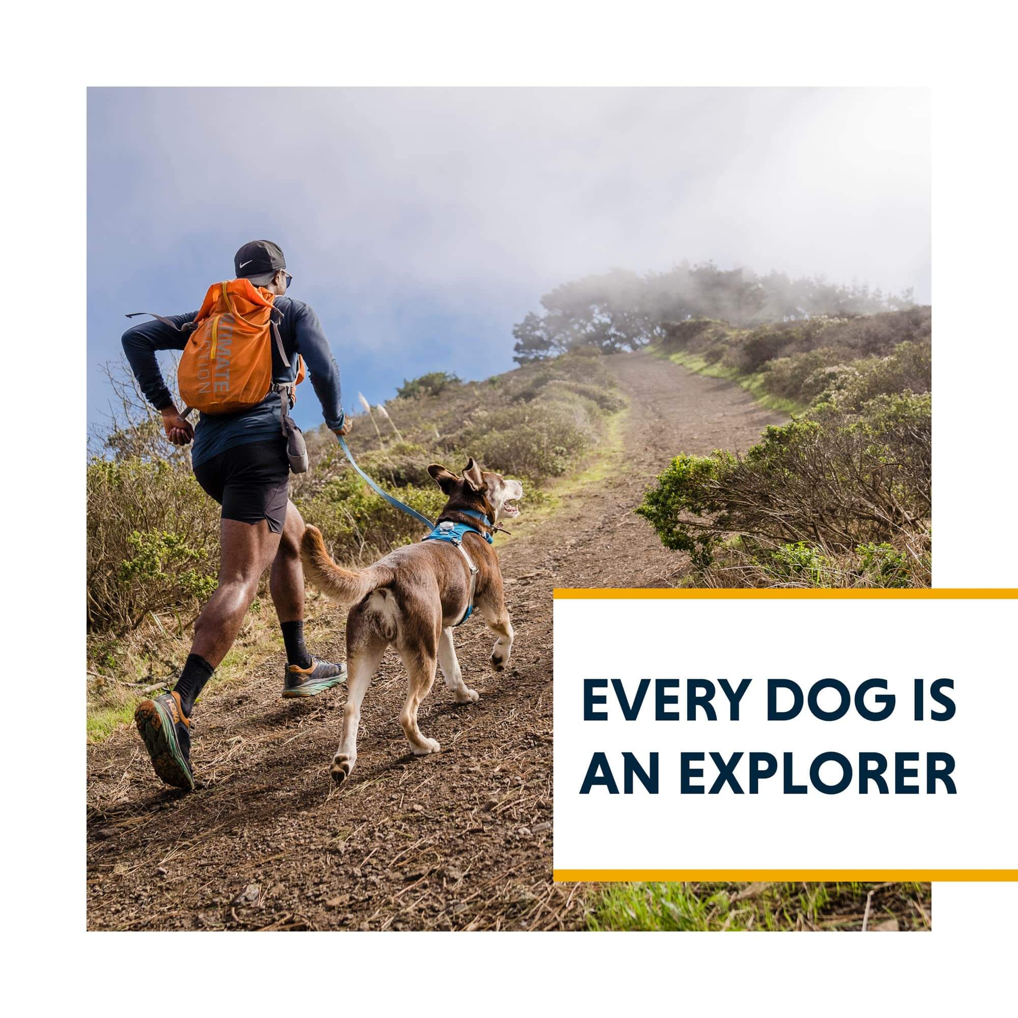 Ruffwear Hi & Light Hundegeschirr