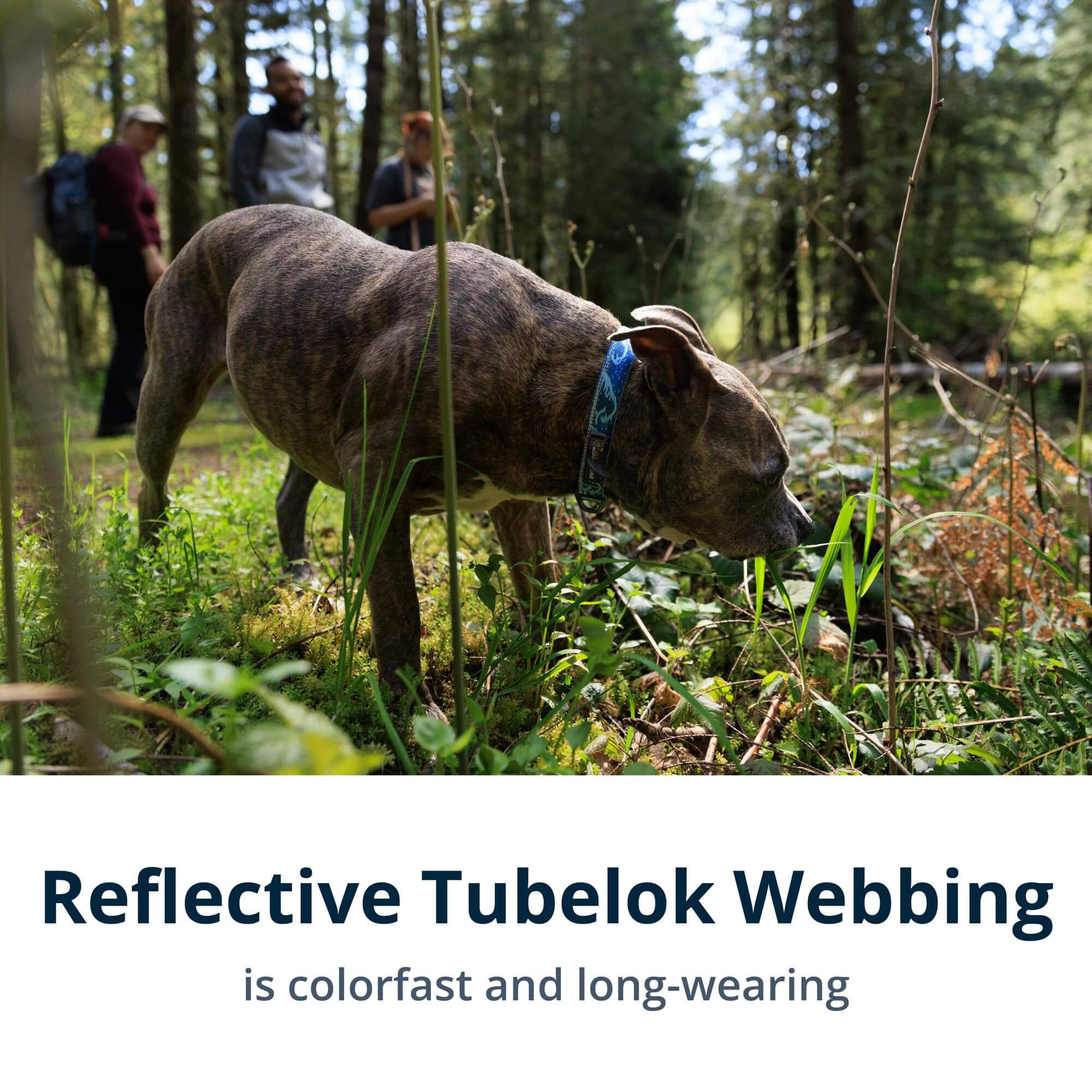 Hundehalsband – Ruffwear – Crag