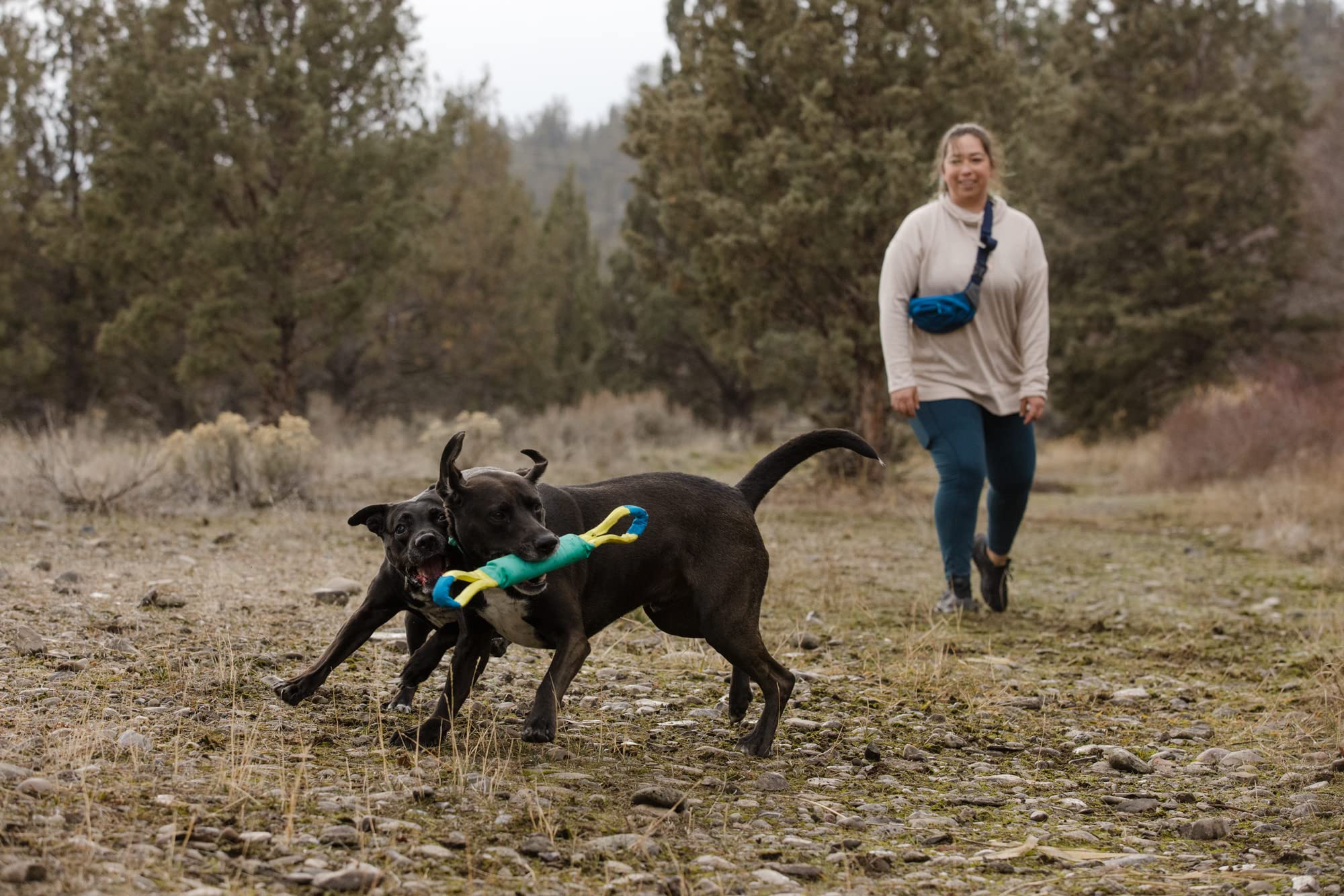 Hundespielzeug – RUFFWEAR – Pacific Loop – RUFFWEAR – Bild 7