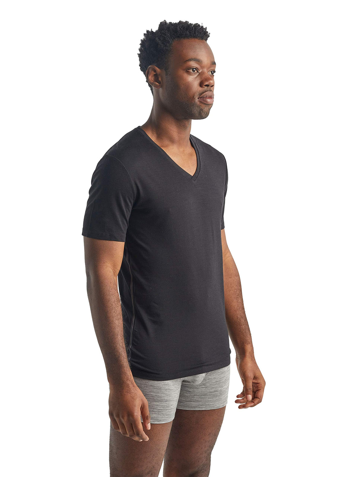 Funktionsshirt – Icebreaker – Anatomica SS V