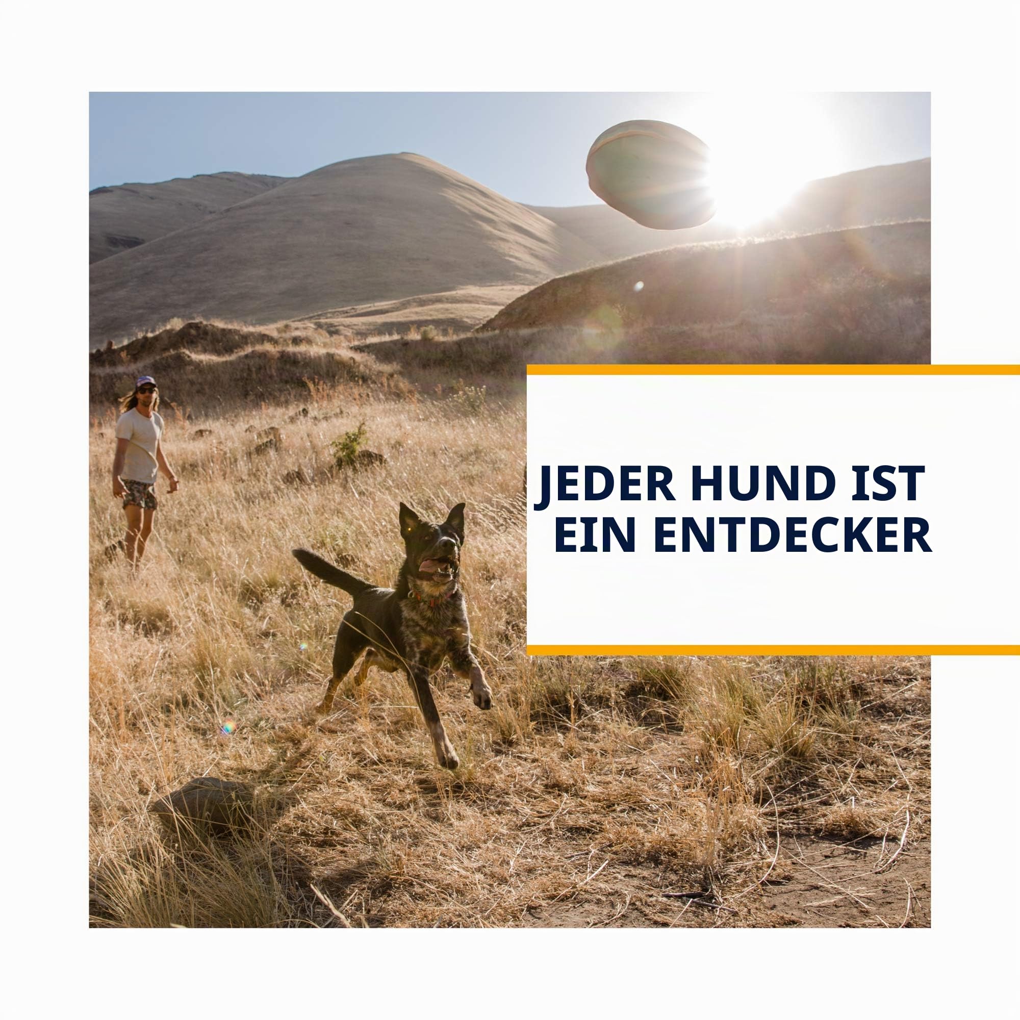 Hundegeschirr – RUFFWEAR – Switchbak – RUFFWEAR – Bild 9