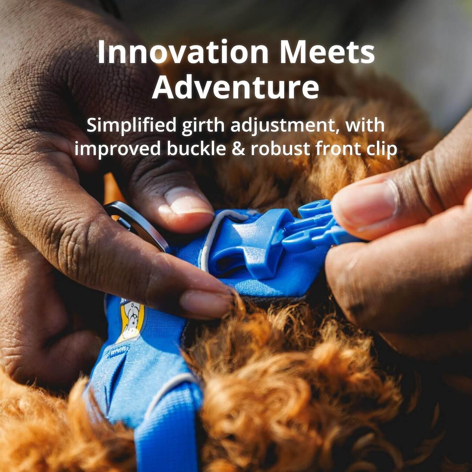 Die Details des Ruffwear Front Range Hundegeschirr sind hier sichtbar - es werden die Schnallen fokusiert, um die Qualität und die einfache Handhabung zu visualisieren