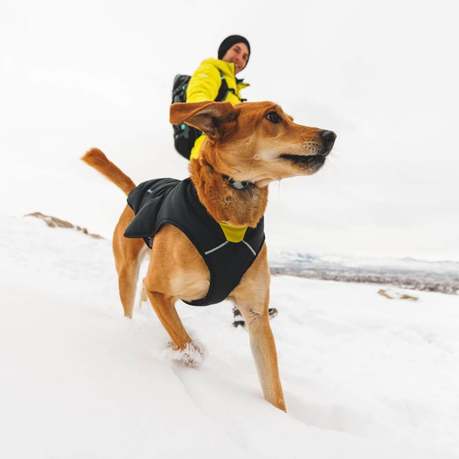 Ein Hund mit seinem Besitzer im Schnee, man sieht die Ruffwear Quinzee Hundejacke im Einsatz