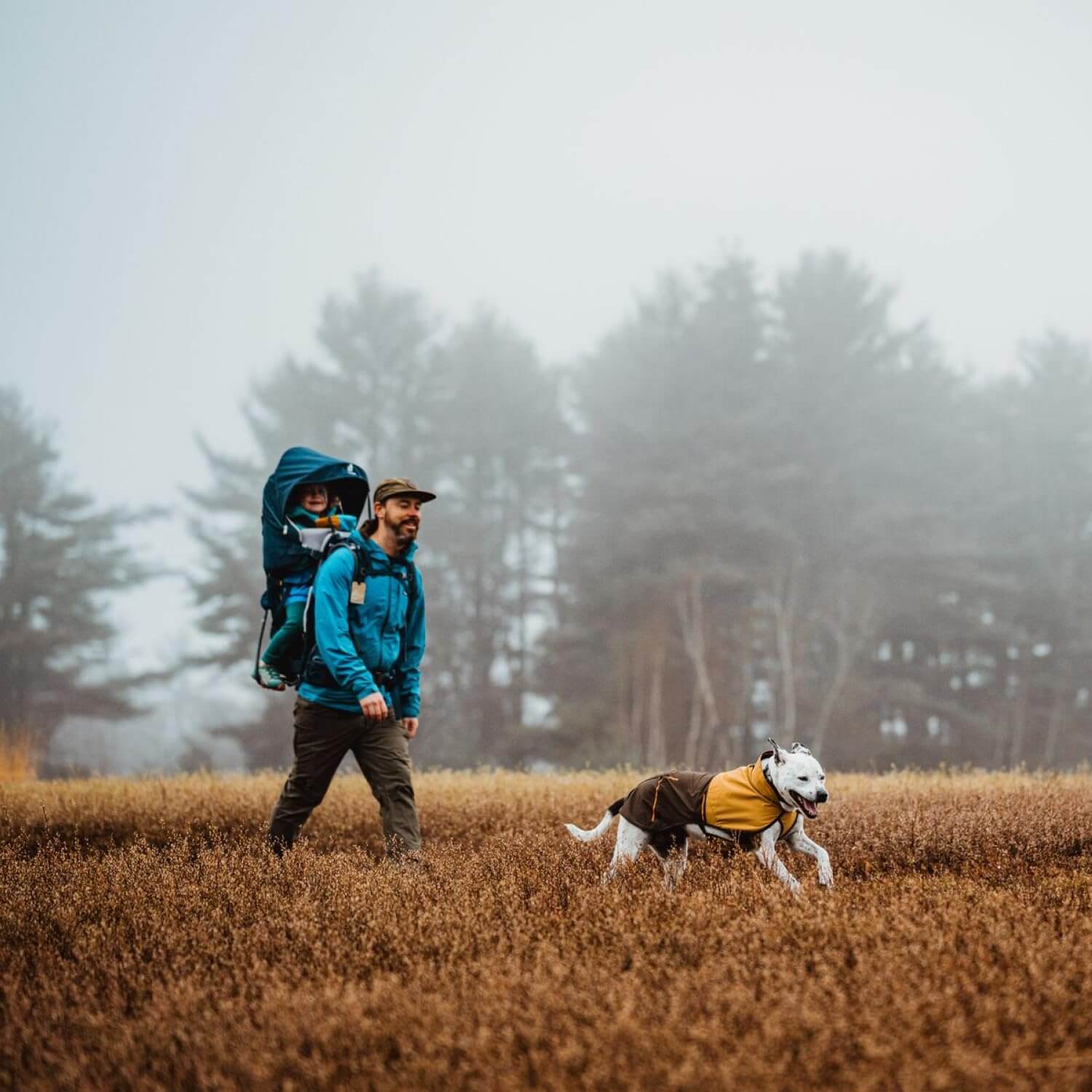 Der Ruffwear Sun Shower Regenmantel Für Hunde im Einsatz - Ein Hund ist mit seinem Besitzer auf einem Feld spazieren, er läuft durch nasses Gras und ist durch seinen Sun Shower Regenmantel geschützt
