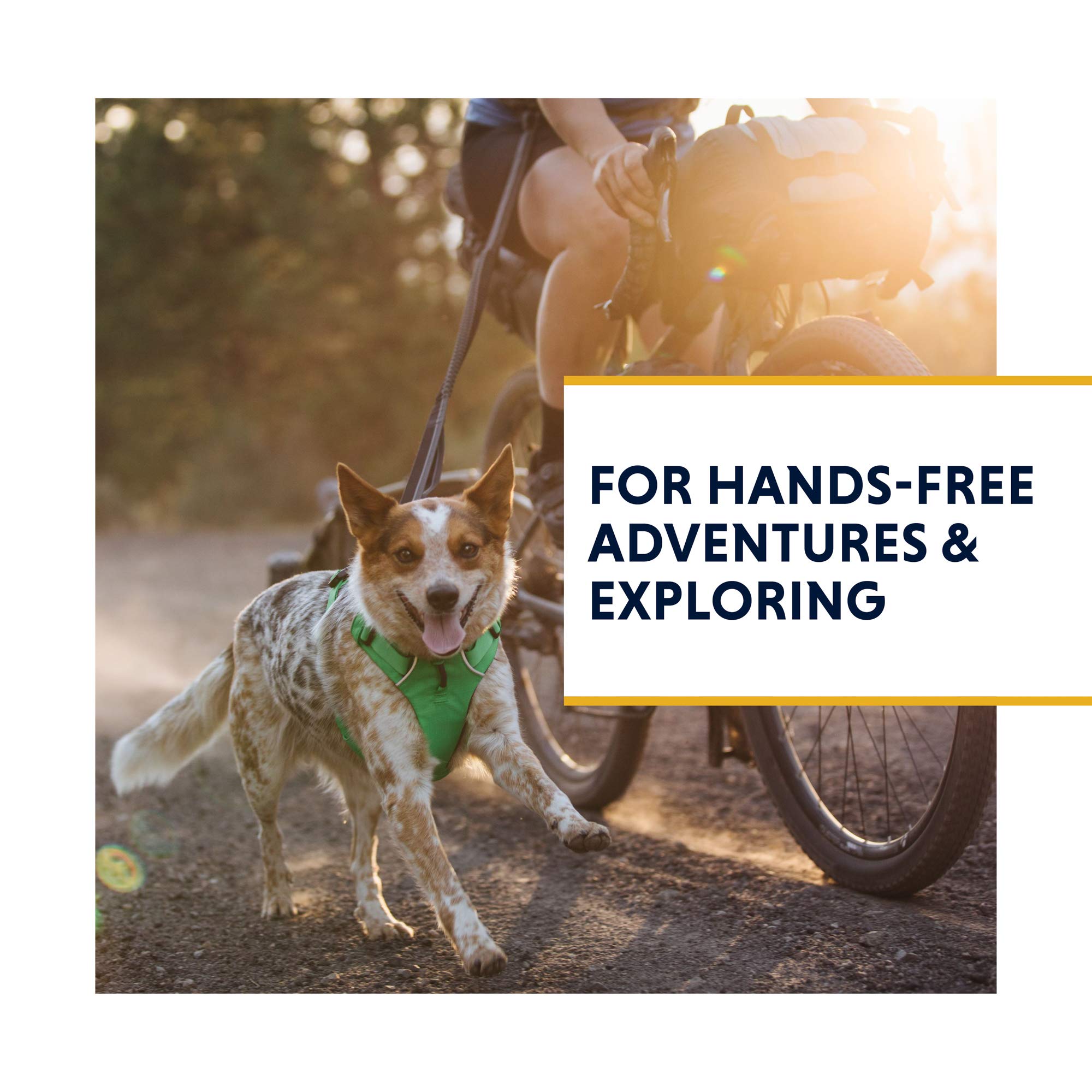 Ruffwear Roamer Bungee-Hundeleine